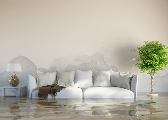 Water Damage Insurance Claim Assistance in Detroit Metro Area and Southeast Michigan