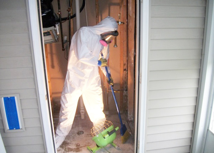 Mold Remediation Services in Metro Detroit Area