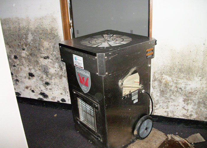 Concraft: More than Mold Remediation in Southeast Michigan
