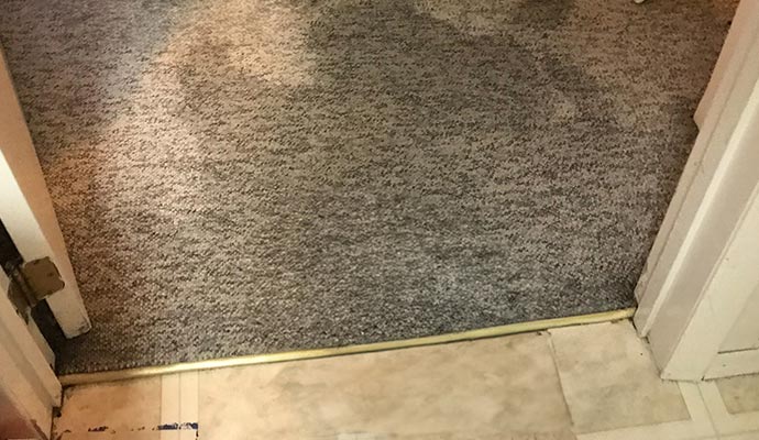 Carpet water damage Carpet water damage