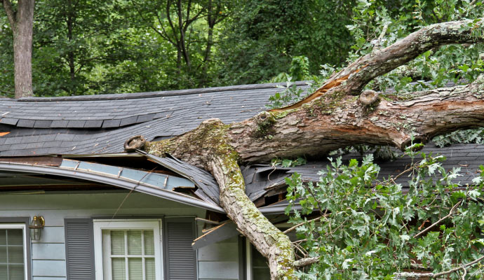 Storm damaged roof