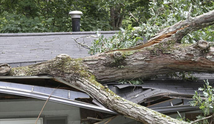 a large tree has fallen onto the roof of a house