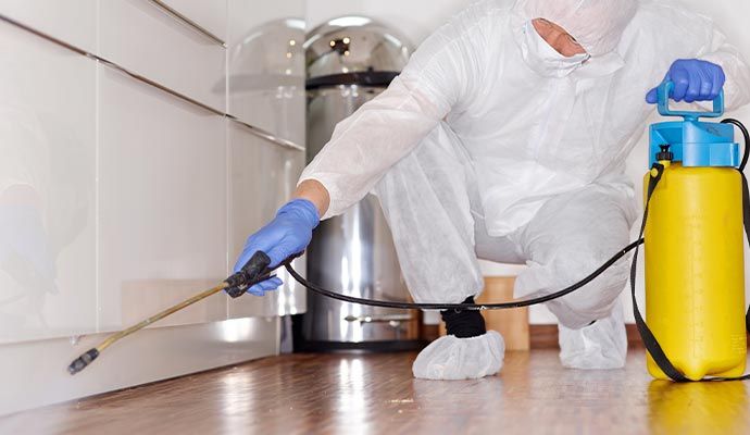 Professional disinfecting kitchen floor with yellow sprayer Professional in protective suit spraying disinfectant on kitchen floor using a yellow canister sprayer