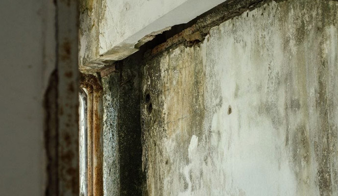 Proper Home Ventilation to Prevent Mold Growth - Water damage, Fire, Smoke  Damage Restoration and Mold Removal, Southeast Michigan