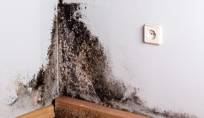Black mold in the corner of the room wall