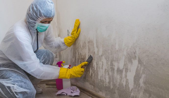 Expert in protective suit removing mold from wall Expert in a protective suit and yellow gloves scraping mold from a wall during mold remediation