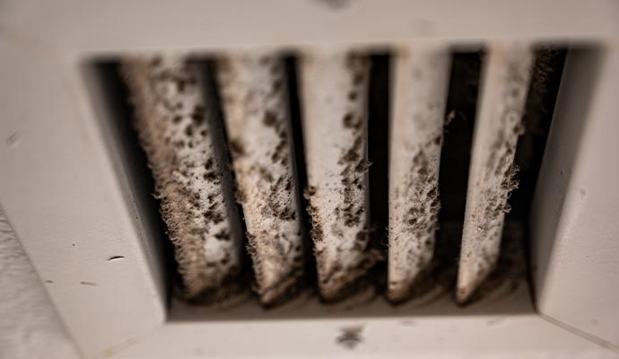 Mold in HVAC