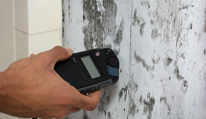 Professional mold testing service Professional mold testing service