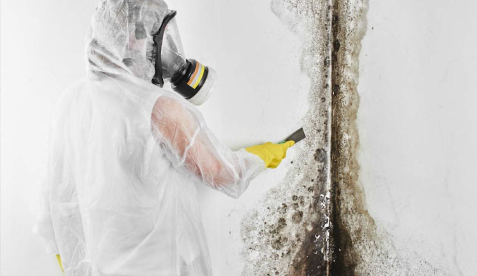 person in protective gear removing mold from a wall using a scraper