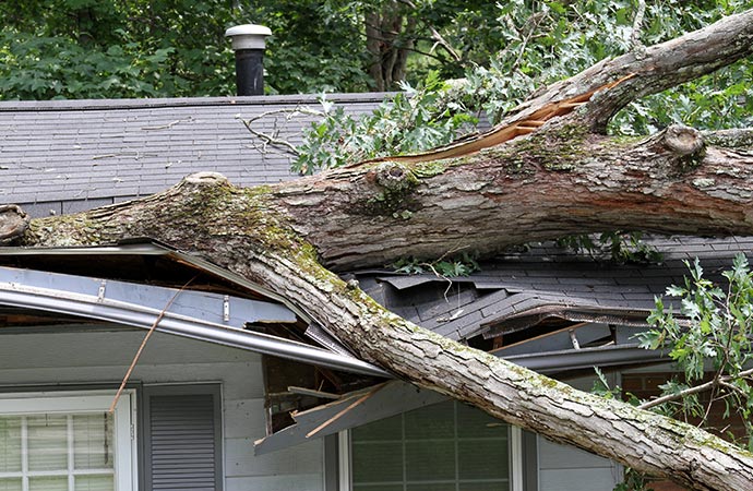 a large tree that has fallen onto a house, causing significant damage