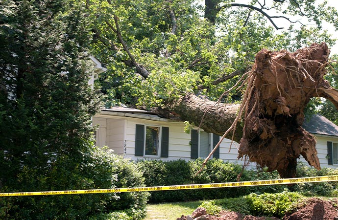 Wind damaged house