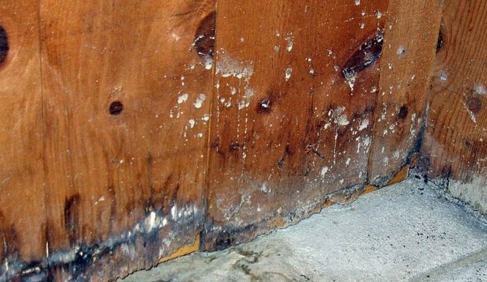 Damaged wooden structure by water