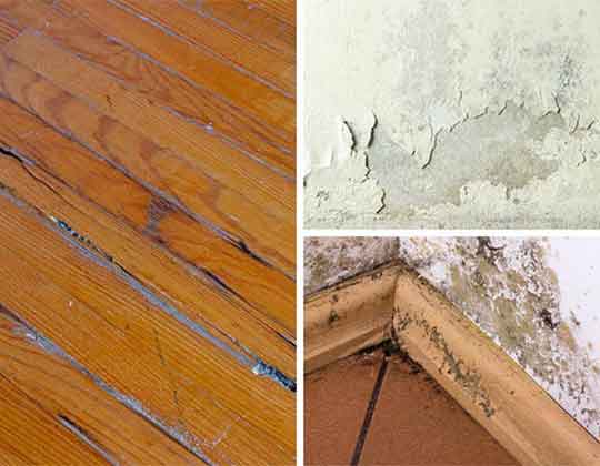A collage of interior water and mold damage on floors, walls, and baseboards A collage of interior water and mold damage on floors, walls, and baseboards